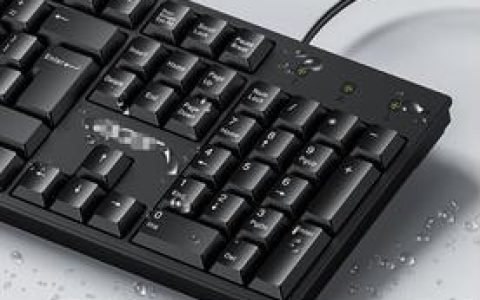 为什么小键盘没法输数字，只能当上下左右键？