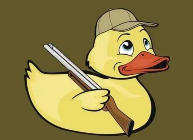 duck是什么意思