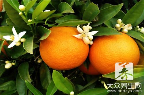 橘子的功效与作用，健胃、润肺、补血、清肠