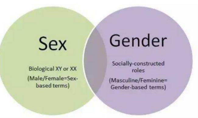 gender是什么意思