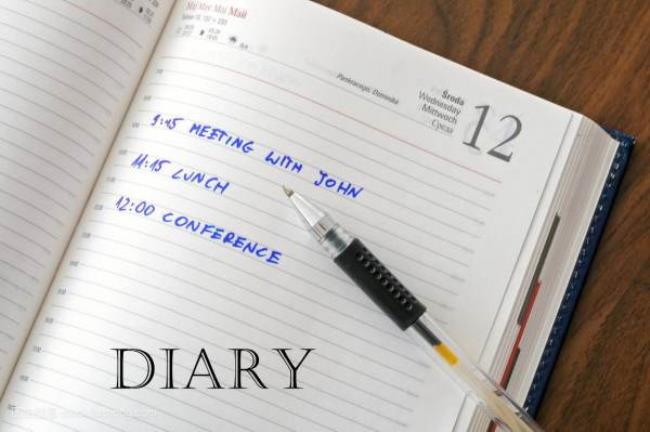 diary是什么意思