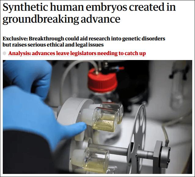 英美团队称创造出合成人类胚胎模型