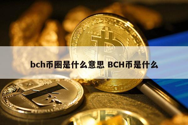 bch币圈是什么意思 BCH币是什么