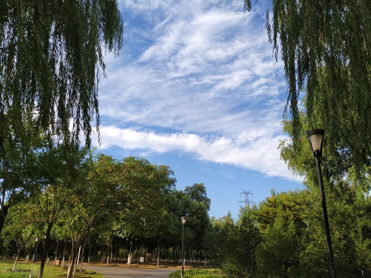 北京公园排名哪个最好玩（推荐10个值得一去的免费公园）-第8张图片