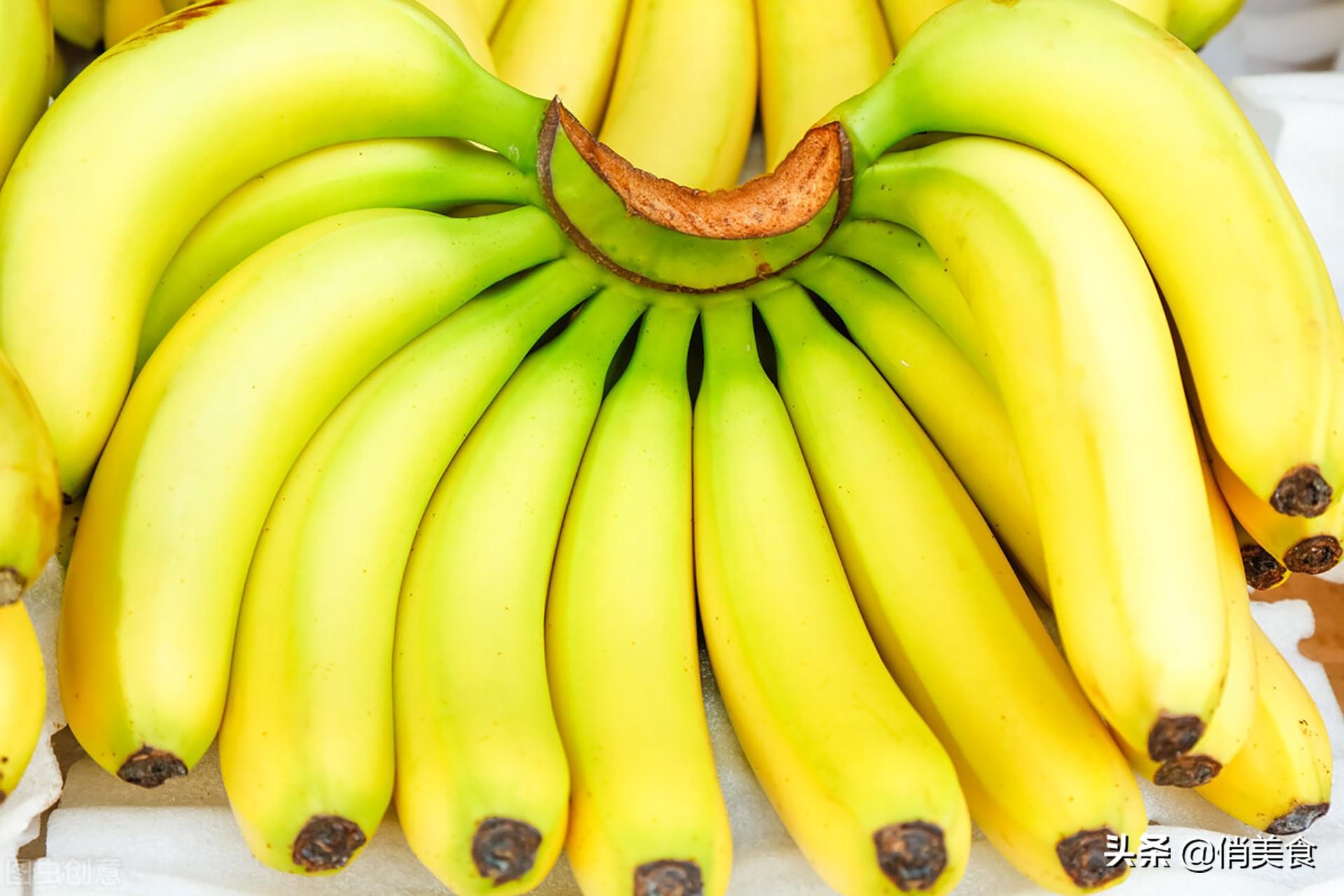 芭蕉和香蕉有什么区别（芭蕉与香蕉的功效营养差别大吗）-第2张图片