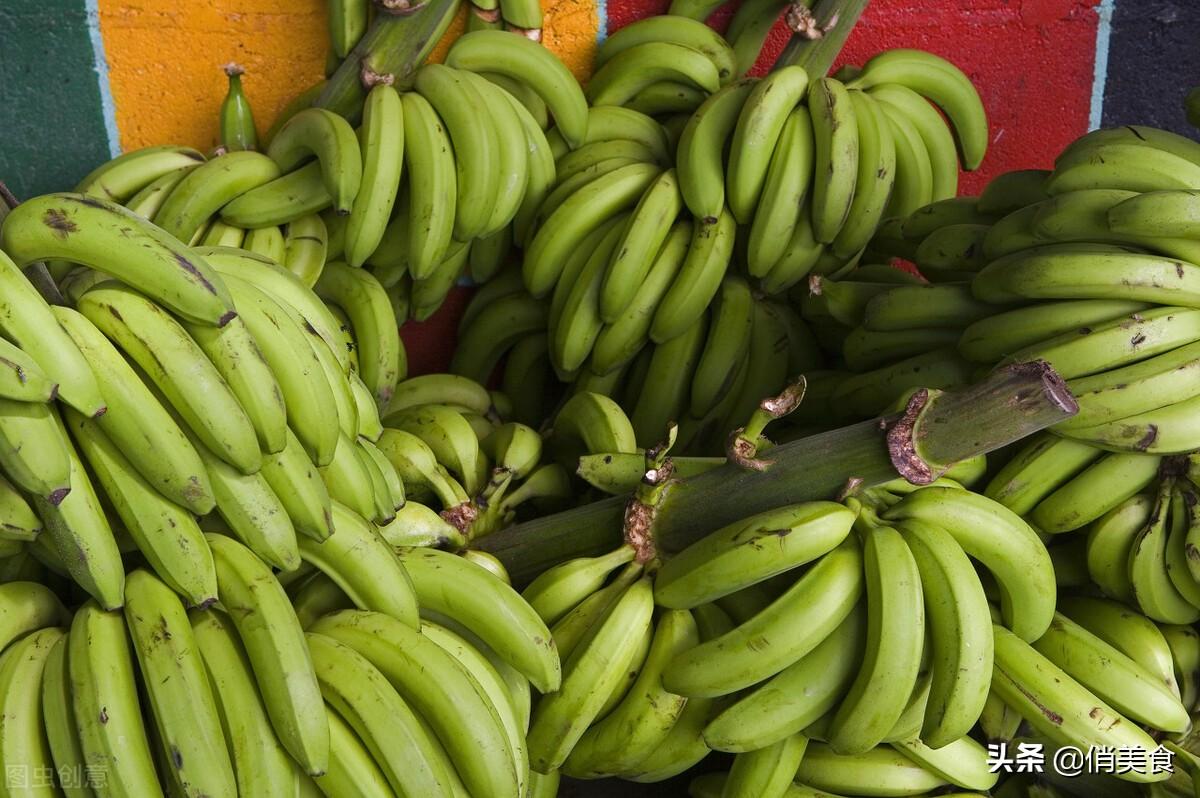 芭蕉和香蕉有什么区别（芭蕉与香蕉的功效营养差别大吗）-第3张图片