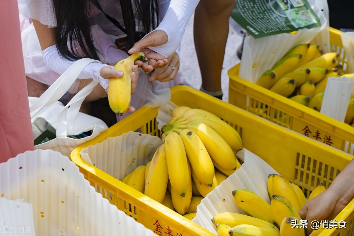 芭蕉和香蕉有什么区别（芭蕉与香蕉的功效营养差别大吗）-第6张图片