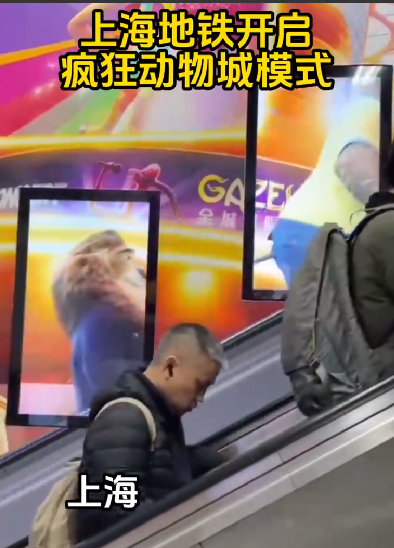 上海地铁开启疯狂动物城模式：手扶梯上的乘客与动画片中的角色同框，代入感非常强 ！-第1张图片