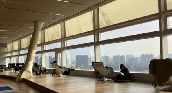 上海图书馆被曝一把躺椅数万元