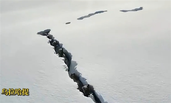 新疆狼群在积雪下硬生生挖出一条路：真团队精神
