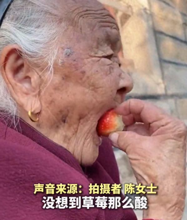 当97岁奶奶没戴假牙吃草莓