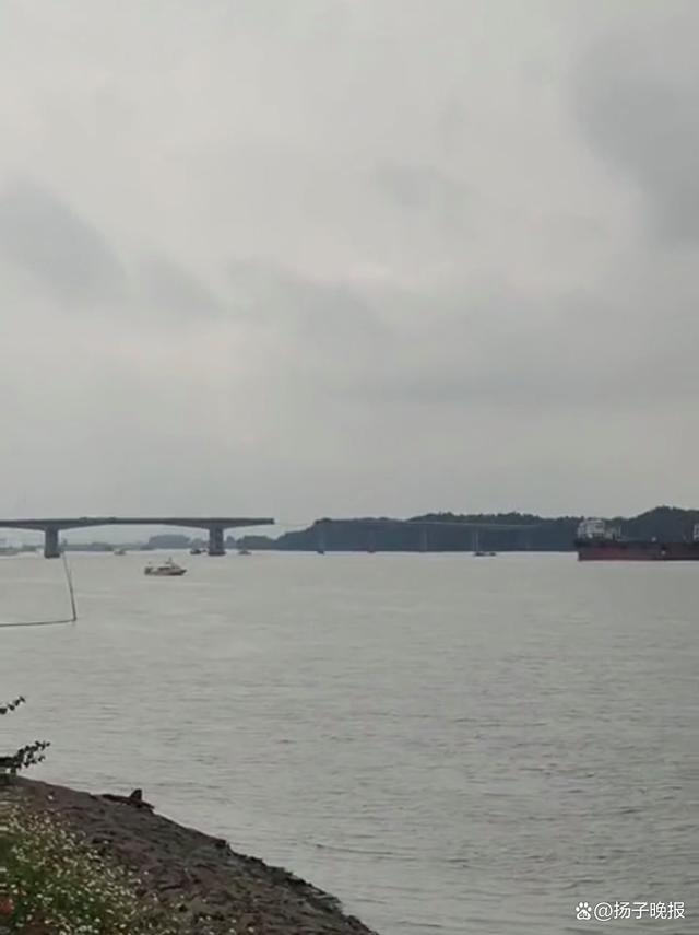 被船撞断的大桥近年曾加固维修