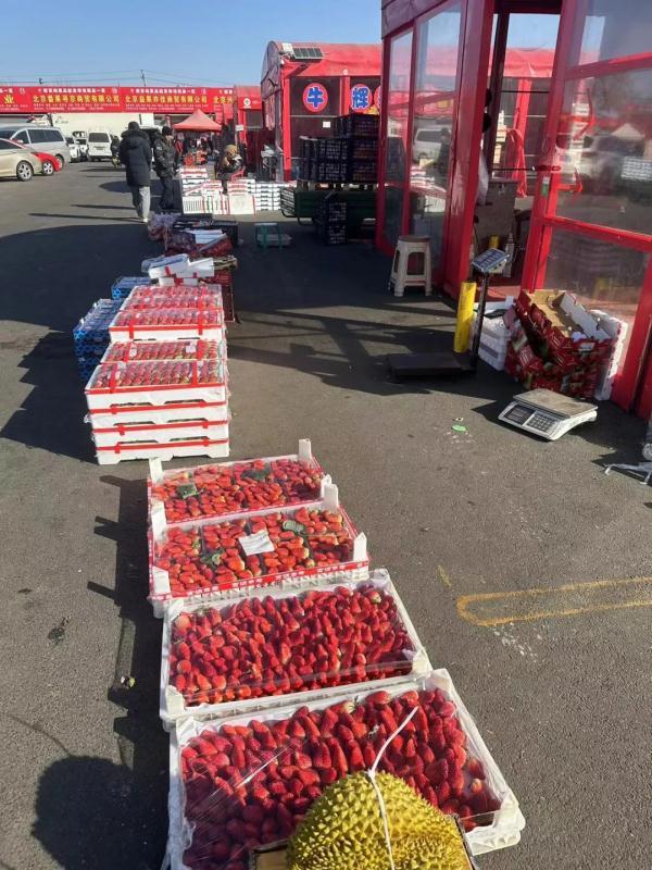 草莓价格腰斩了