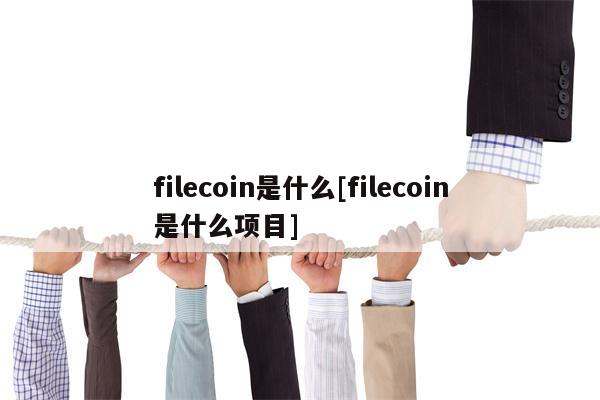 filecoin是什么[filecoin是什么项目]