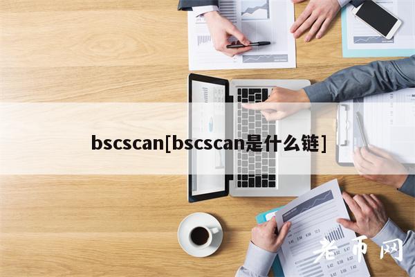 bscscan[bscscan是什么链]